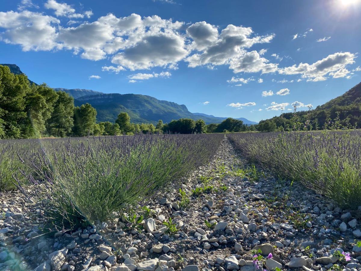 Gite En Haute Provence Montfroc Εξωτερικό φωτογραφία